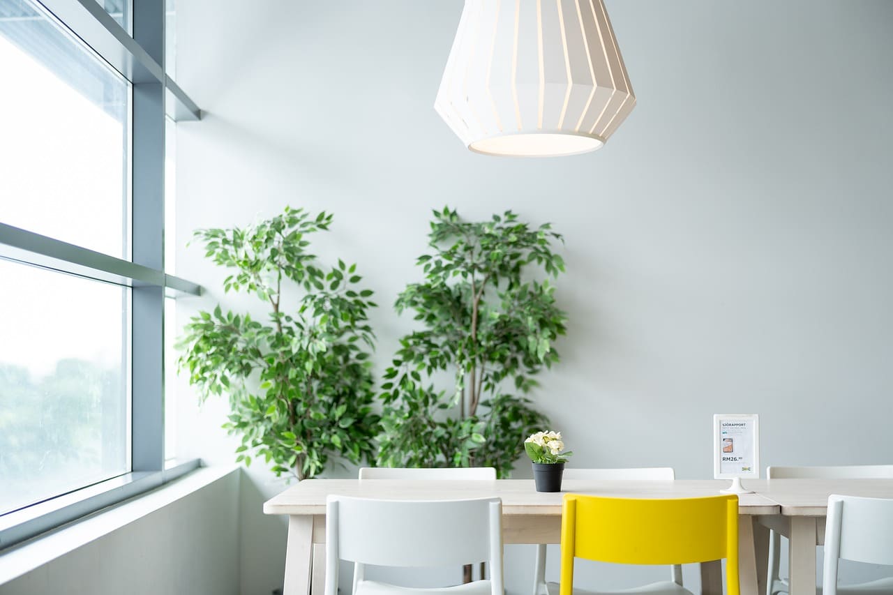 light2